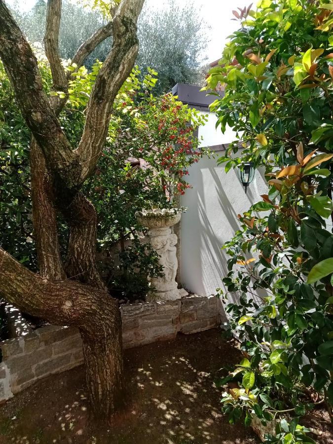 B&B Il Cantuccio デセンツァーノ・デル・ガルダ エクステリア 写真